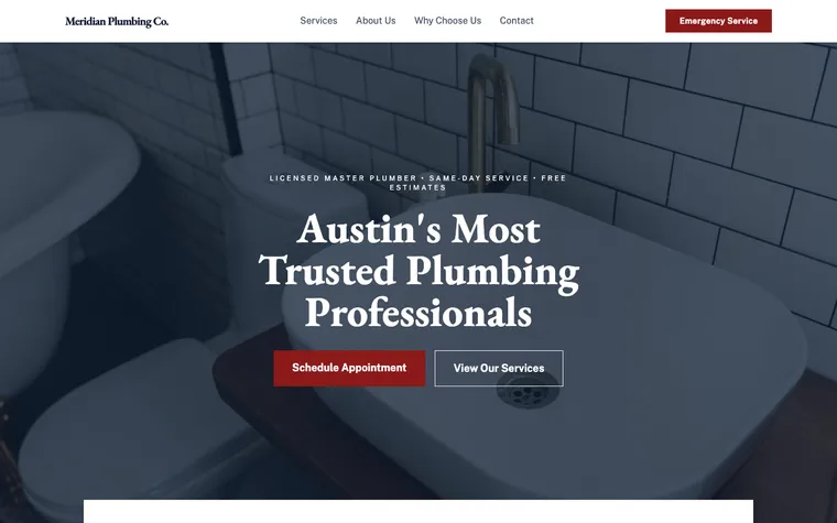 Classic & Professional template preview